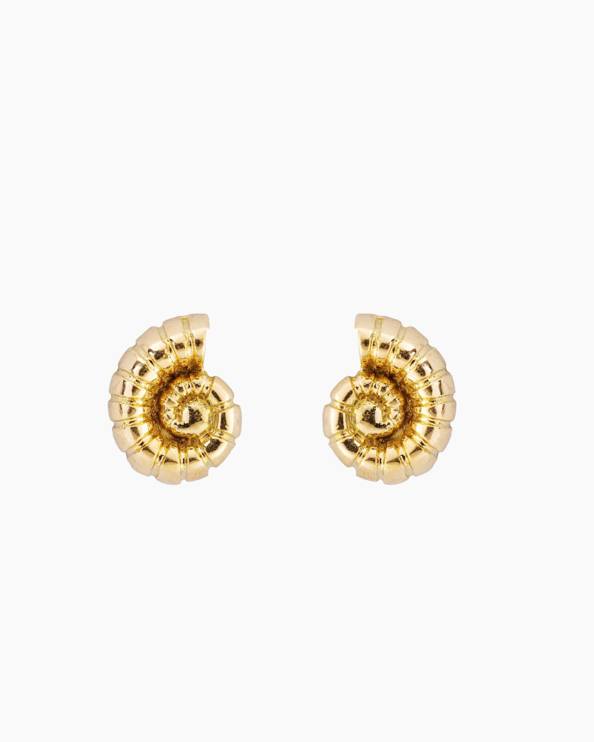 Nautilus Shell Earrings - Aurel Gold