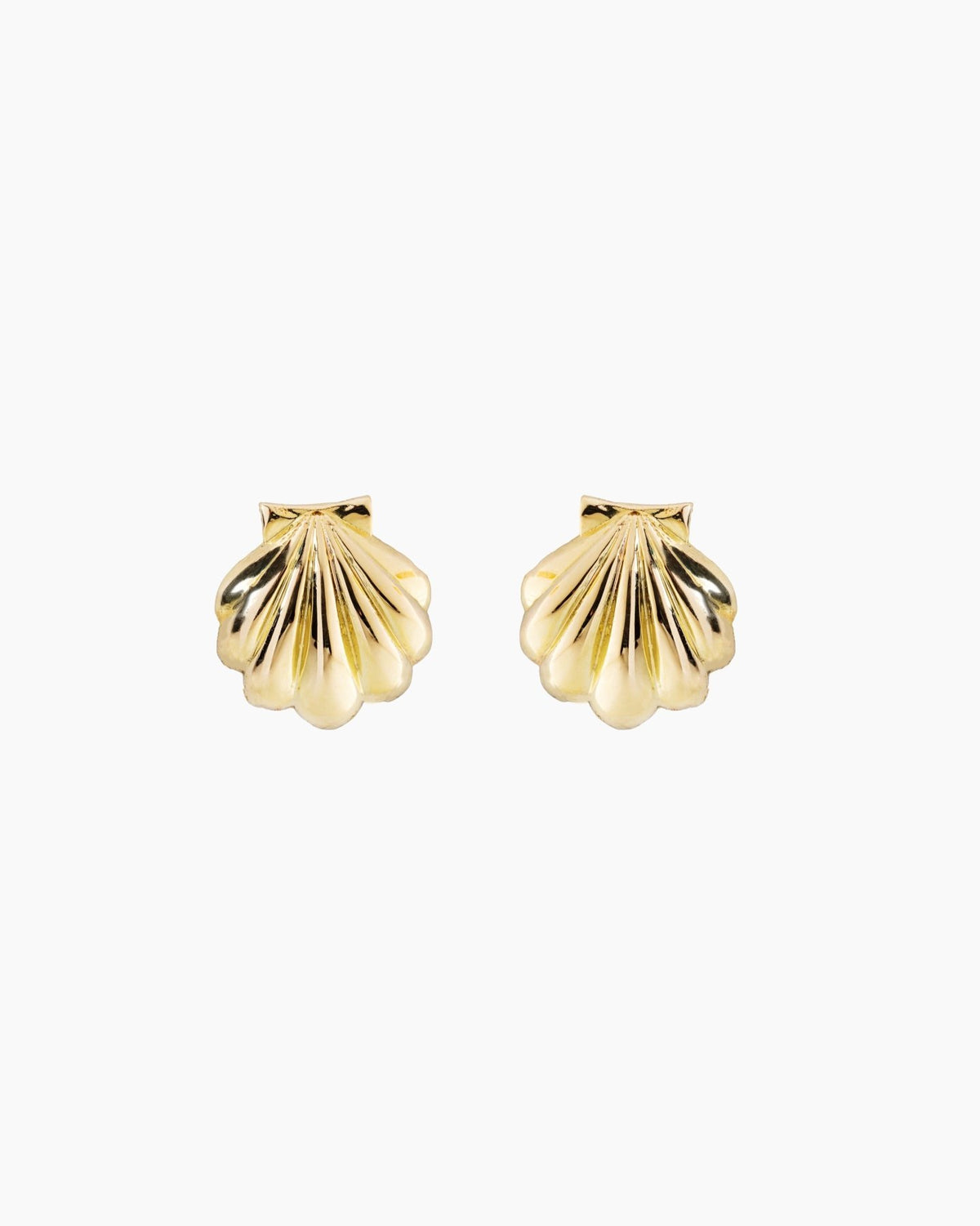 Scallop Shell Earrings - Aurel Gold