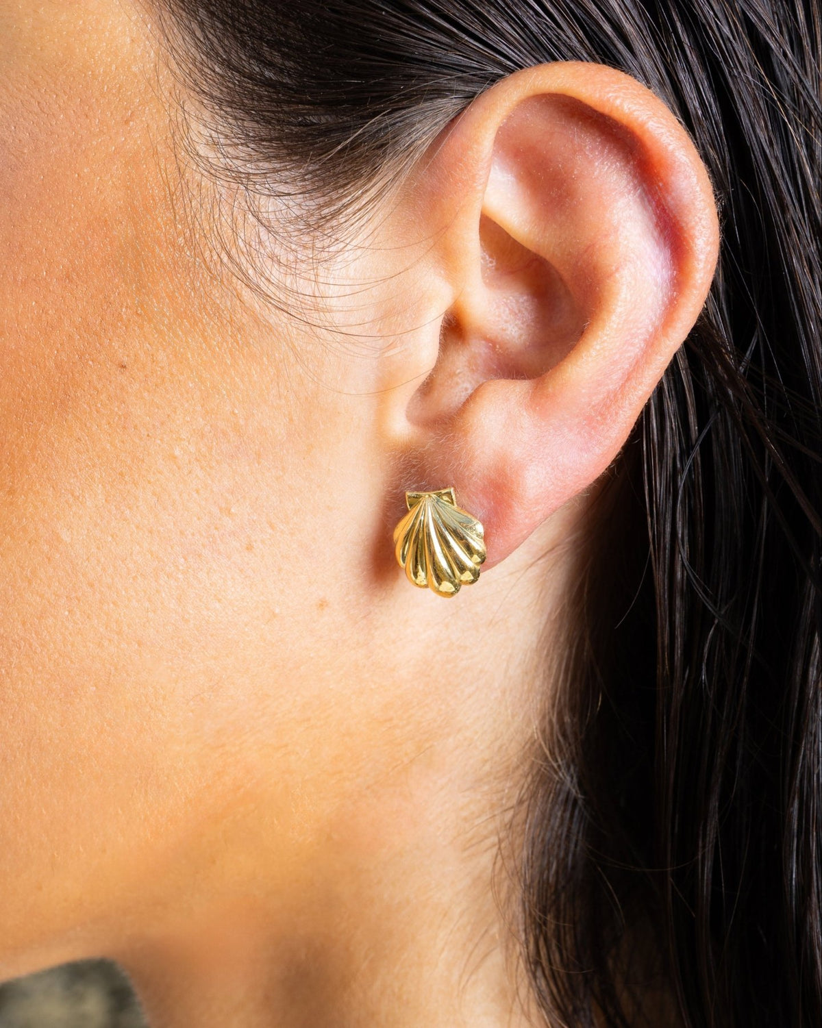 Scallop Shell Earrings - Aurel Gold