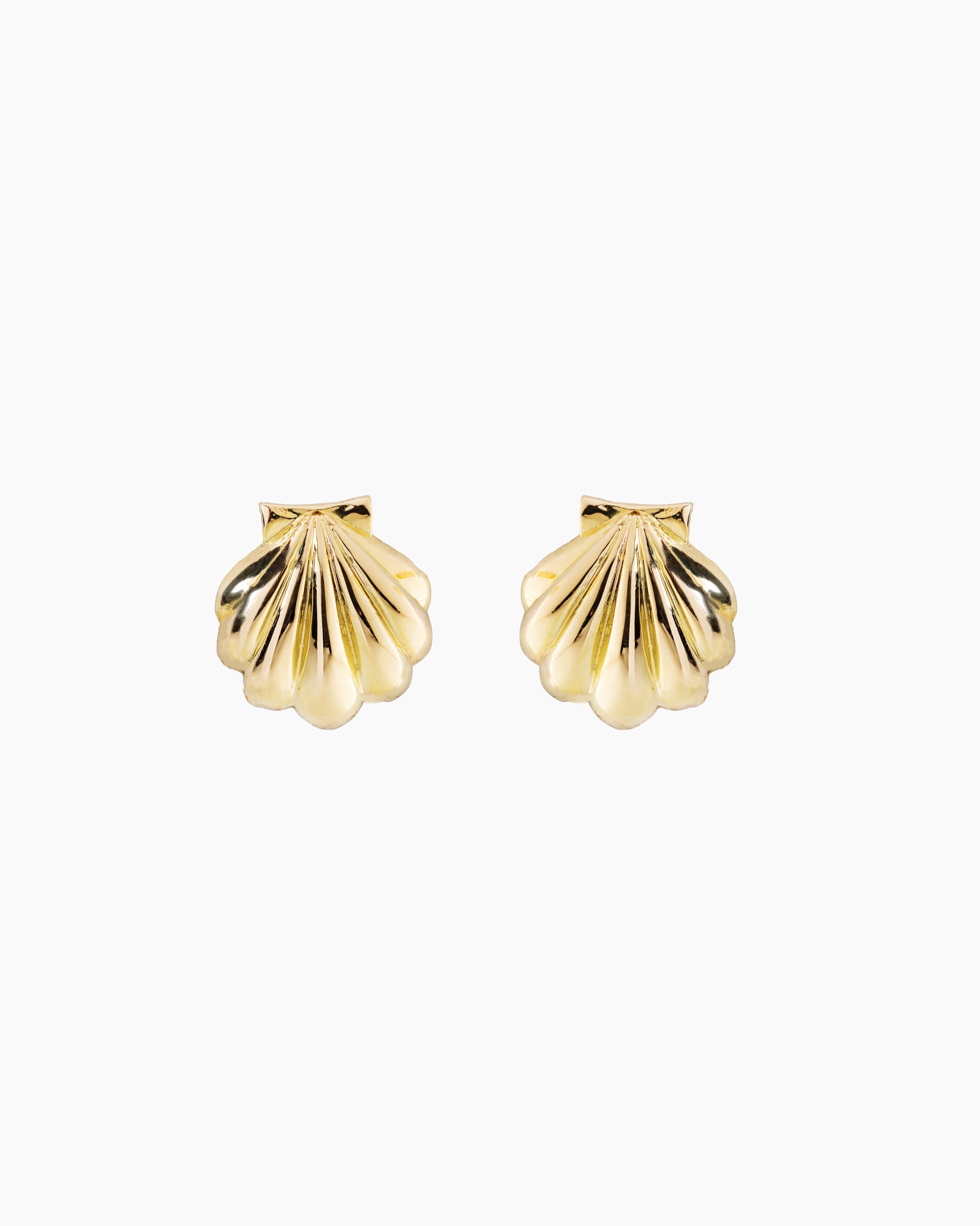 Scallop Shell Earrings