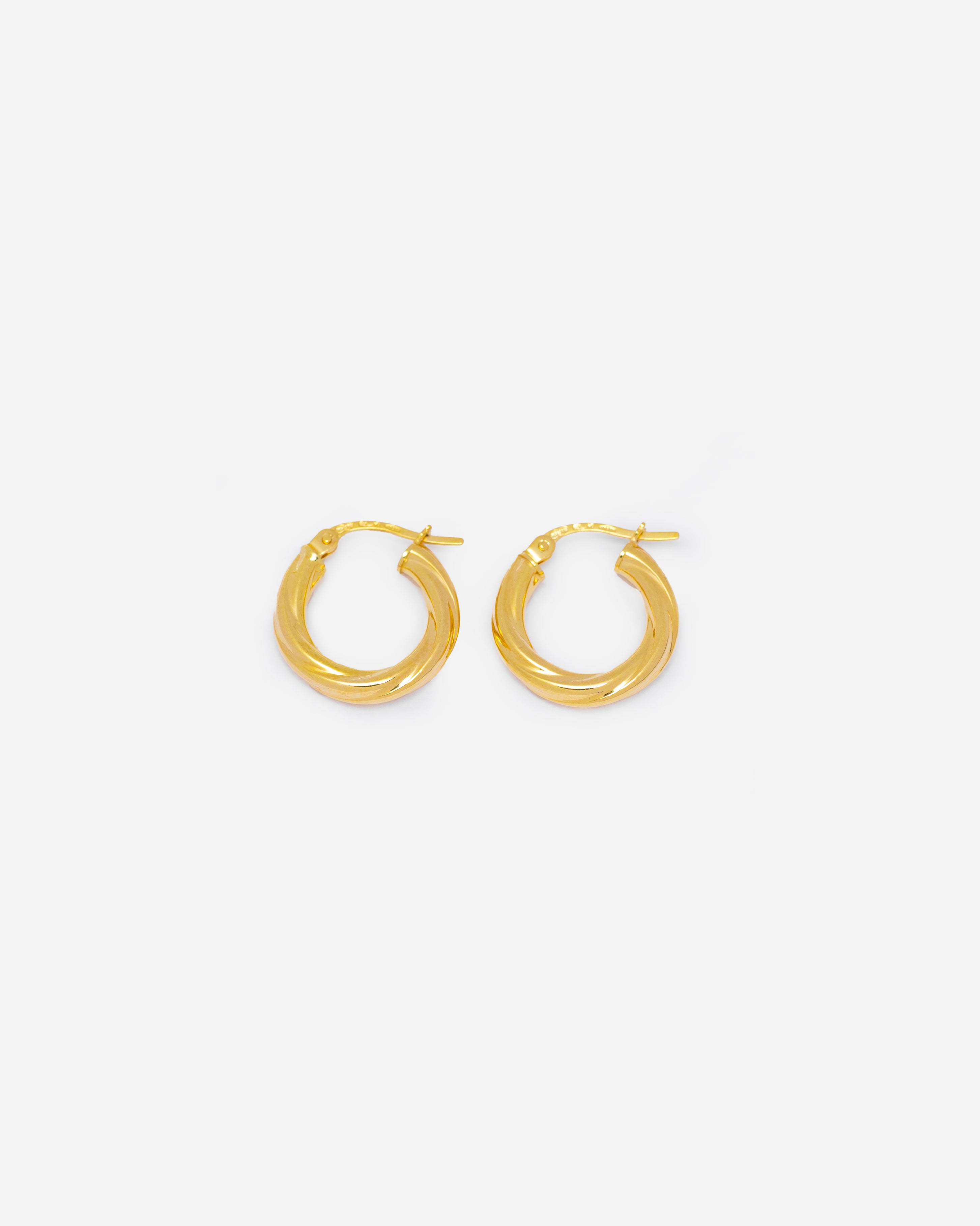 Lunar Hatched Loop Earrings