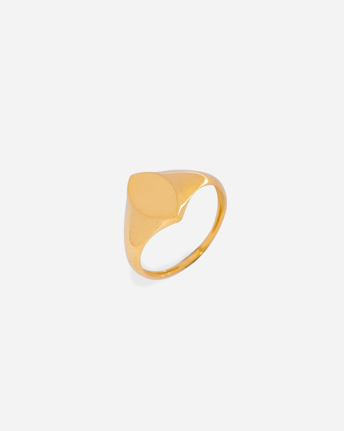 Ellipse Pinky Signet Ring - Aurel Gold