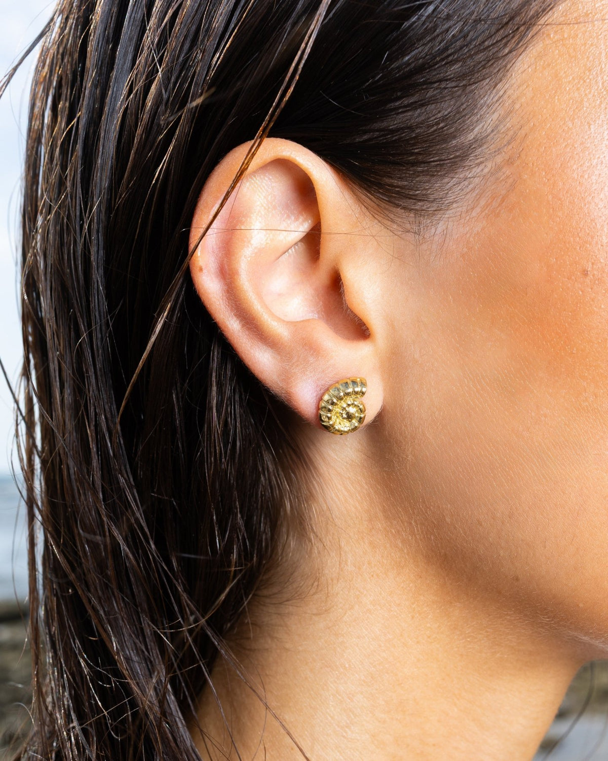 Nautilus Shell Earrings - Aurel Gold