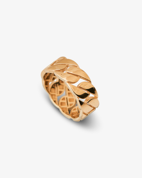 Bold Flat Chain Ring